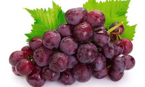 Pinot Meunier