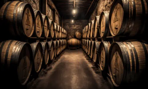 delle botti di legno contenenti vino in una cantina